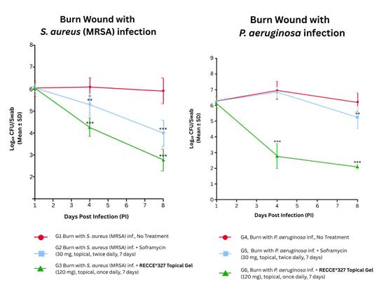 A screenshot of a computer screen  AI-generated content may be incorrect.