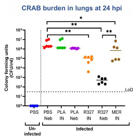 A screenshot of a computer  AI-generated content may be incorrect.